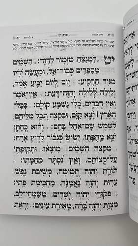 תהילים בינת הלב בעיטור הכותל המערבי - מגוון צבעים פורמט קטן (כריכה רכה)