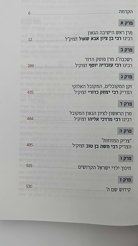 גדולה שימושה - מסע חיי במחיצתם של רבותינו זיע