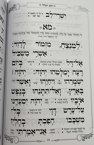 תיקון הכללי - עם פירוש כוונת הלב כולל תפילות סגולות וברכות / כריכה רכה