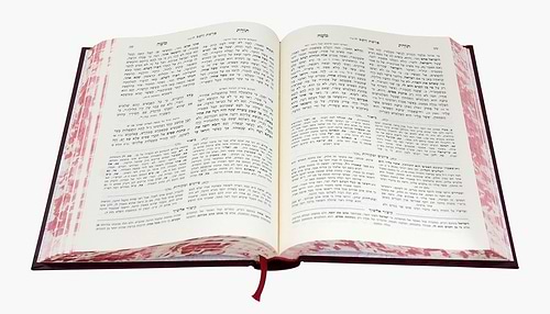 תורת משה המבואר - במדבר / עוז והדר