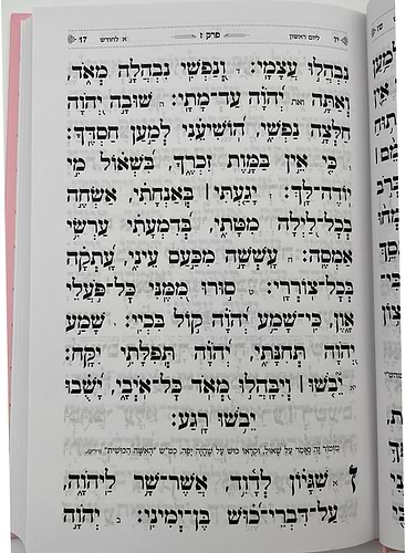 תהילים בינת הלב - כריכת סקאי ורוד / פורמט בינוני