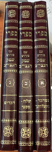 ספרי עם ביאור עמק הנצי''ב