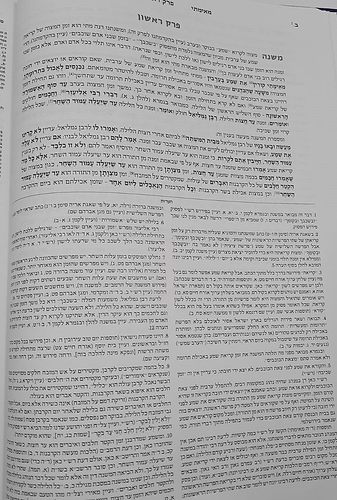 תלמוד בבלי שוטנשטיין - פורמט גדול / כרכים בודדים