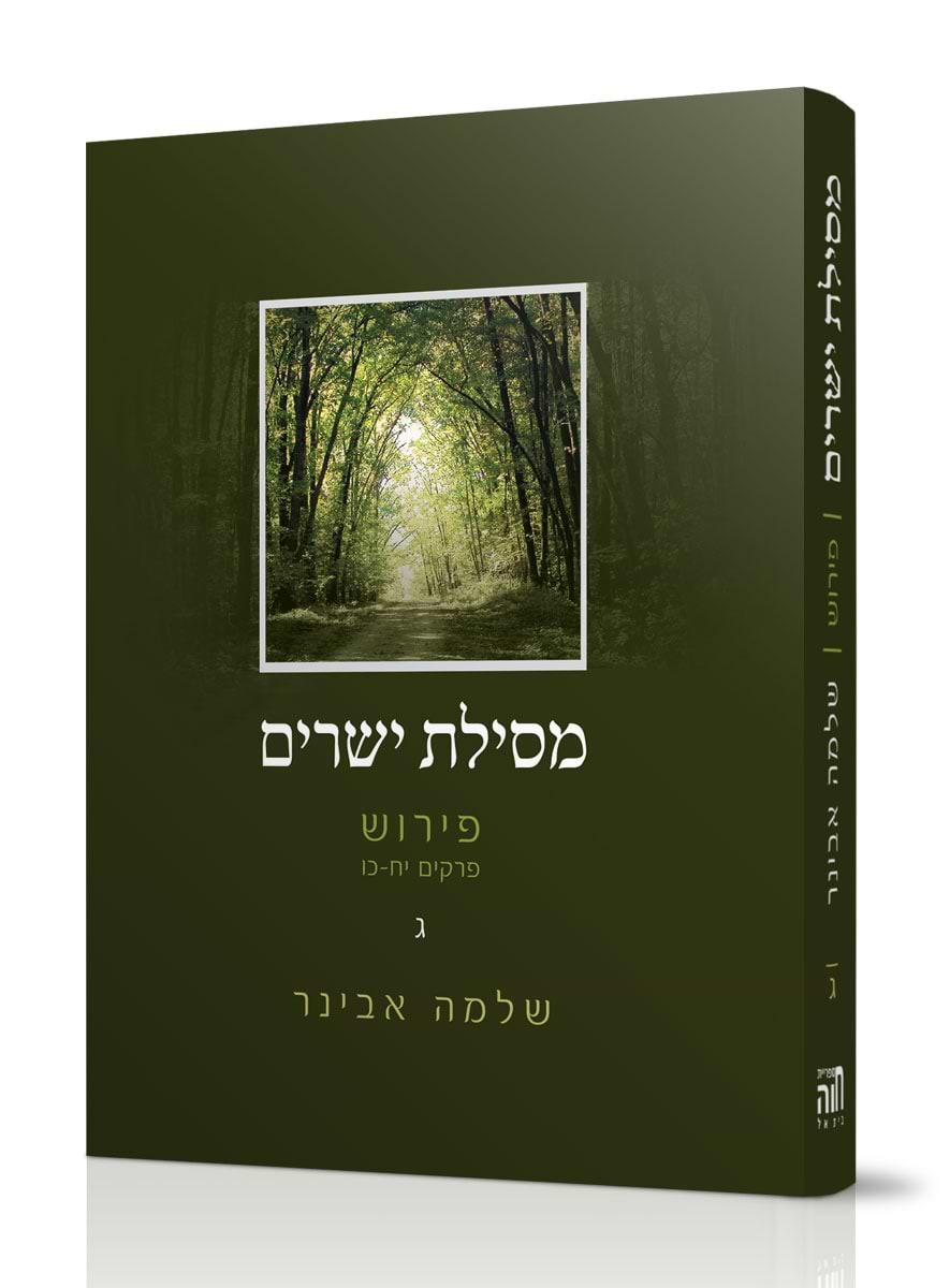 מסילת ישרים - חלק ג