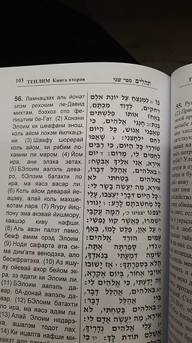 תהילים עם תרגום רוסית