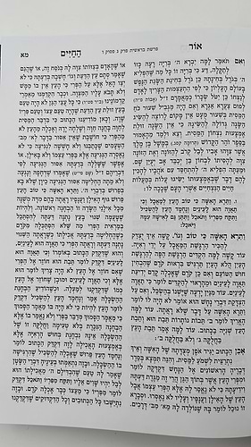 אור החיים מנוקד על התורה ב' כרכים / יפה נוף