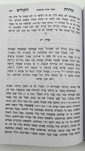 טהרת הקודש מנוקד - וקונטרס שער התפילות פורמט גדול / ר' אהרון ראטה