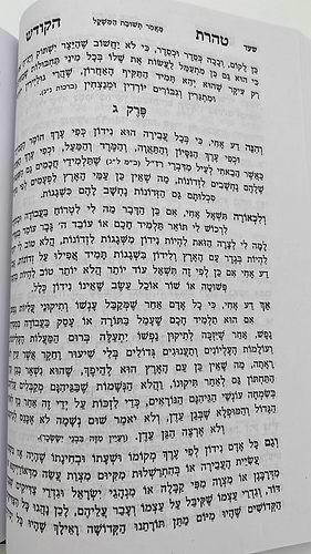 טהרת הקודש מנוקד - וקונטרס שער התפילות פורמט גדול / ר' אהרון ראטה
