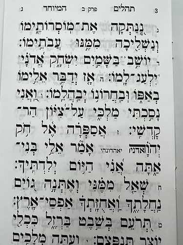 תהילים מחולק אור שרגא כח' חוברות - הוצאת אור השלום