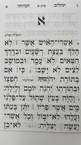 תהילים מחולק אור שרגא כח' חוברות - הוצאת אור השלום