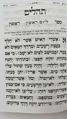 תהילים בינת הלב - כריכה מהודרת בעיטורי הזהב / פורמט בינוני