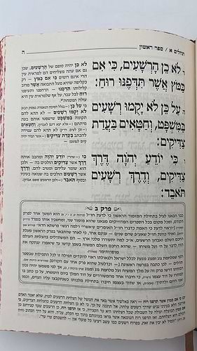 תהילים המפורש - עם  מבוא והוספות / פורמט גדול