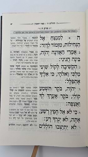 תהילים המפורש - ללא מבוא / פורמט קטן