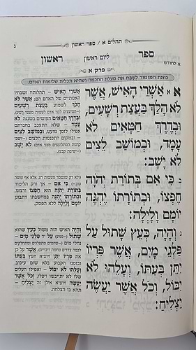 תהילים המפורש - ללא מבוא / פורמט קטן