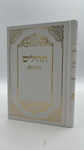 תהילים בינת הלב - כריכת סקאי ורוד / פורמט בינוני
