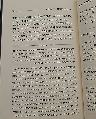 מסילת ישרים - פניני חיזוק / מתורתו של מרן הגר