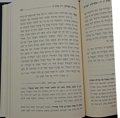 מסילת ישרים - פניני חיזוק / מתורתו של מרן הגר