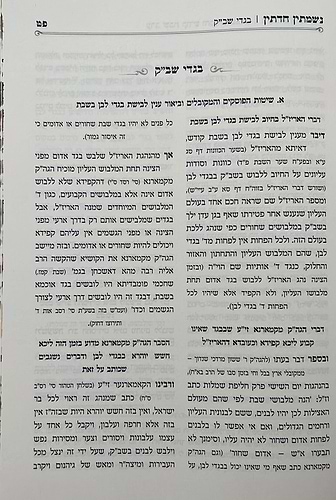 נשמתין חדתין - שבת קודש / הרב י.מ מורגנשטרן