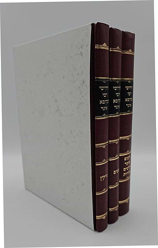 חידושי רעק
