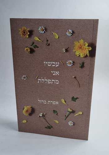 עכשיו אני מתפללת / אפרת ברזל