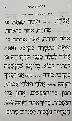 סידור אור השלום השלם - באותיות ענק / פורמט גדול
