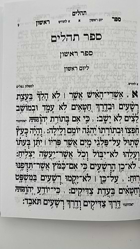 ספר תהילים עבודת השם