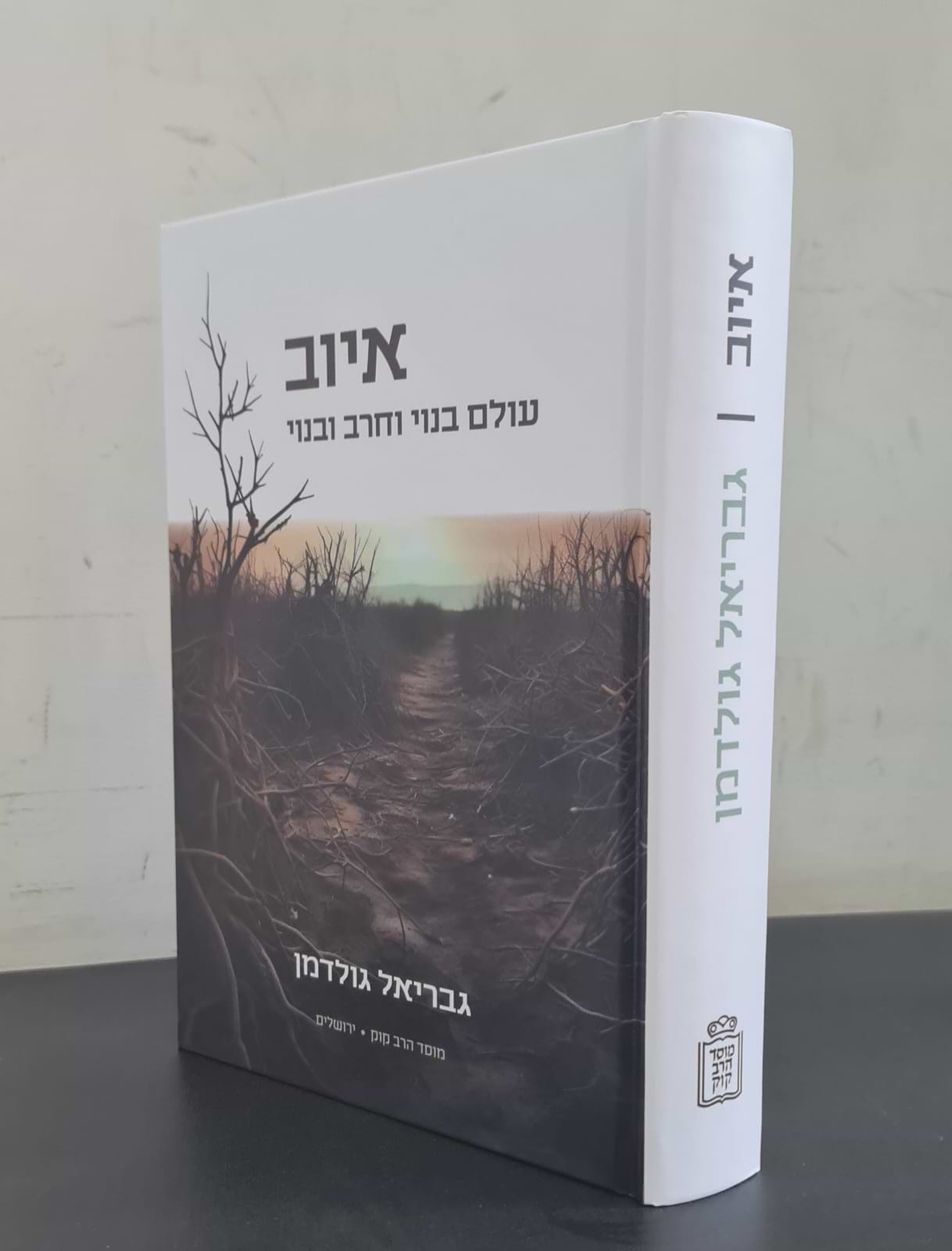 איוב – עולם בנוי וחרב ובנוי / הרב גבריאל גולדמן