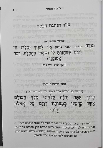 סט מחזורים תכלאל תורת אבות - נוסח תימן בלאדי ז' כרכים / פורמט גדול