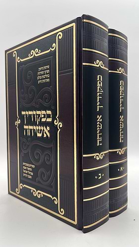 בפקודיך אשיחה ב' כרכים - שיחות חיזוק ופרקי חסידות / הרב משה מנחם טויבנפעלד