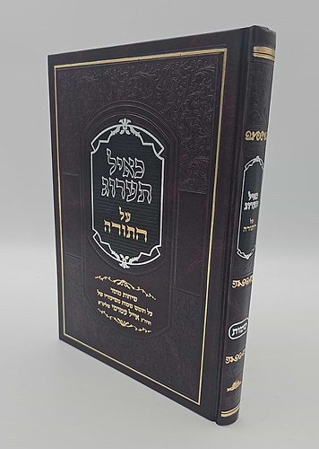 כאיל תערוג על התורה - שמות / הרב אייל עמרמי שליט