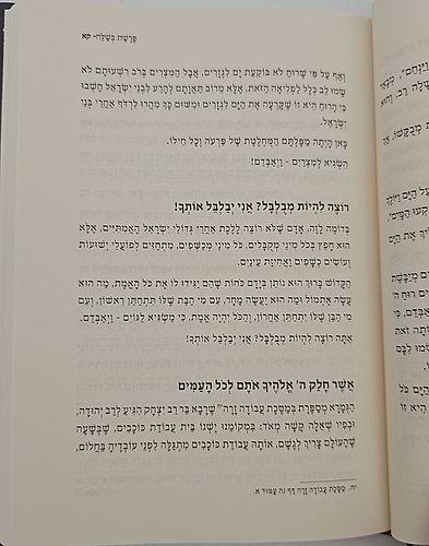 כאיל תערוג על התורה - שמות / הרב אייל עמרמי שליט