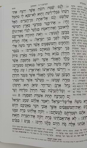 חמשה חומשי תורה מהדורת בית כנסת - פורמט גדול / אור דוד