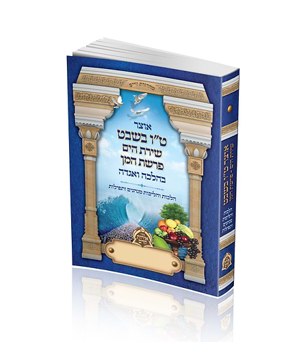 אוצר ט