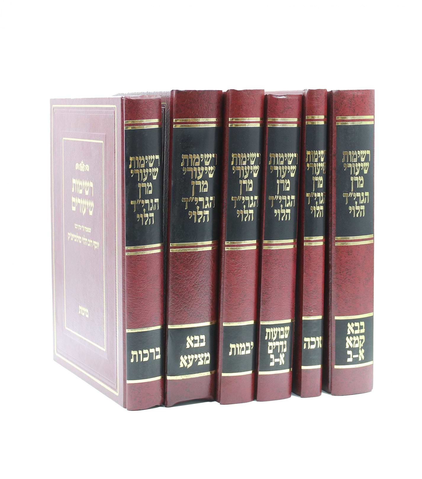 רשימות שיעורי מרן הגרי"ד הלוי על הש"ס ח