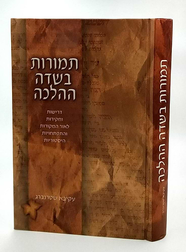 תמורות בשדה ההלכה עקיבא שטרנברג