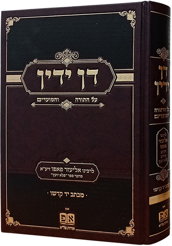 דן ידין 