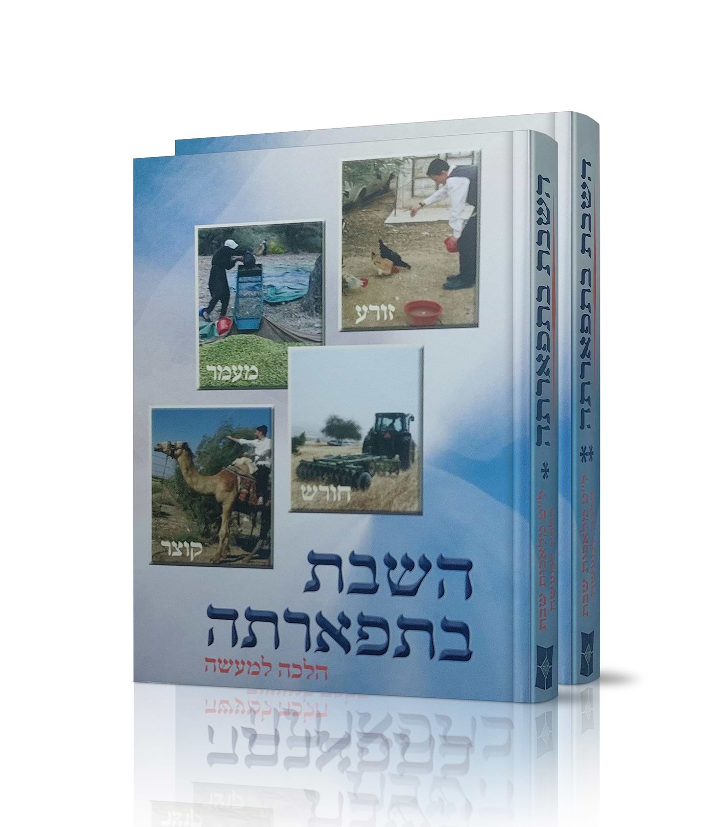 השבת בתפארתה סט ב
