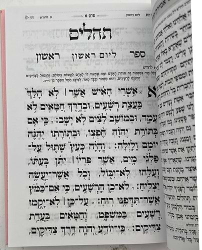 תהילים בינת הלב בכריכת סקאי מהודר - מגוון צבעים פורמט בינוני (כריכה חלקה)