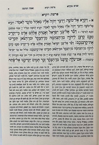 שנים מקרא ואחד תרגום ב' כרכים / אור החיים
