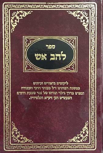 להב אש - בעניני דרכי העבודה / הרב איתמר שוורץ מחבר בלבבי משכן אבנה