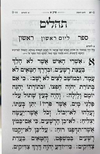 תהילים בינת הלב - בשלל מיני צבעים / פורמט קטן