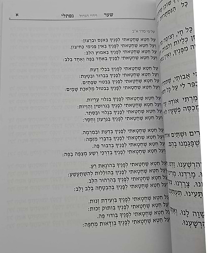 שער נפתלי - וידוי הגדול לרבינו נפתלי כ