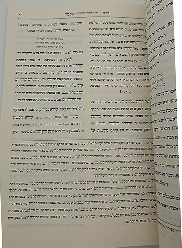 כרם שלמה - דרכי התשובה / (הינוקא) רבנו שלמה יהודה בארי שליט''א