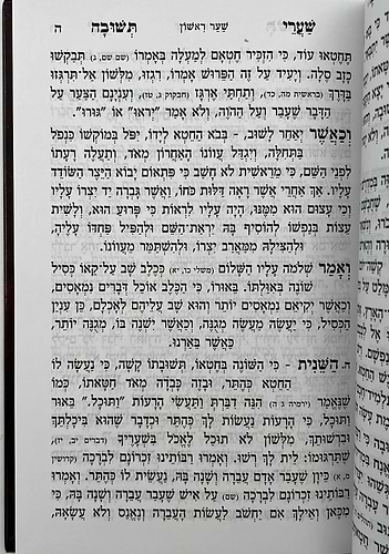 שערי תשובה מנוקד / רבינו יונה גירונדי