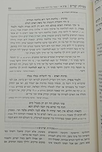 מסילת ישרים לרמח