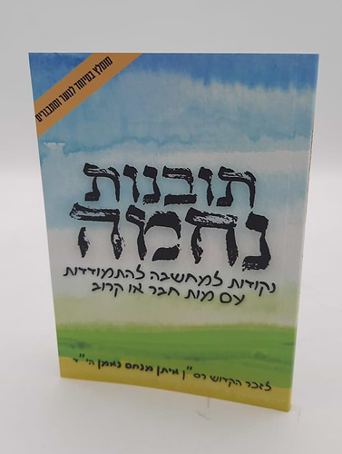 תובנות נחמה - נקודות למחשבה להתמודדות עם מות חבר או קרוב / חוברת כריכה רכה