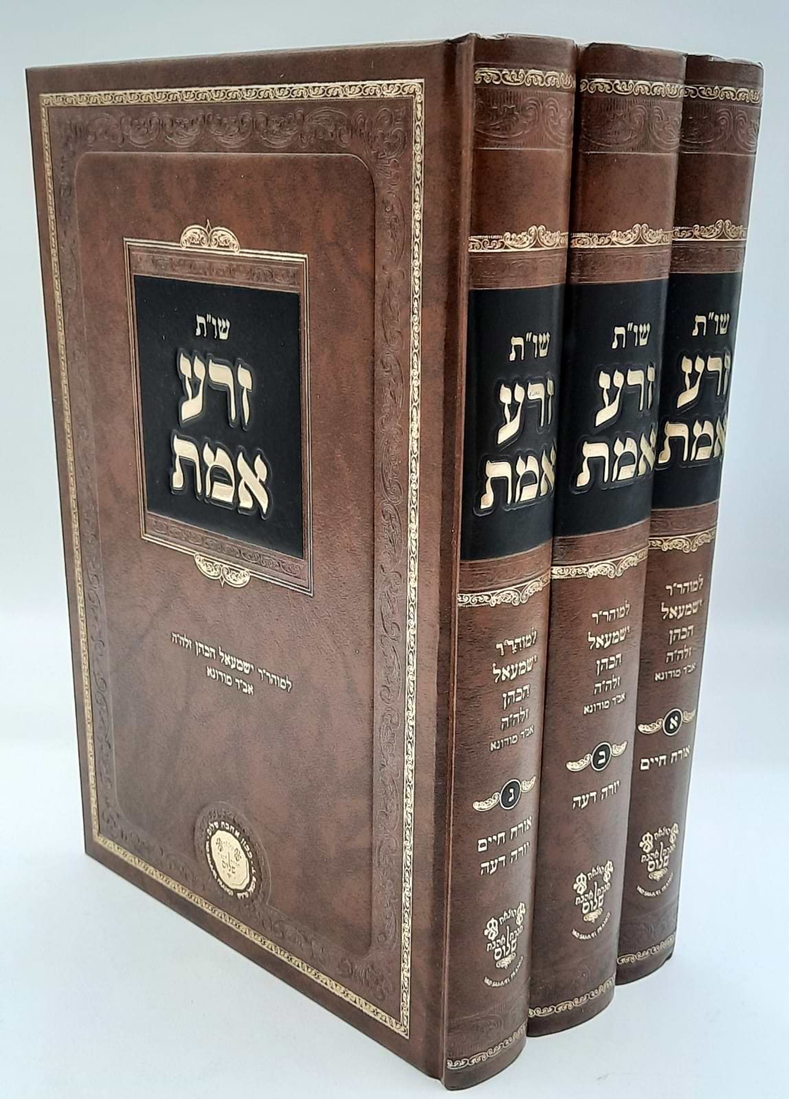שו"ת זרע אמת לר