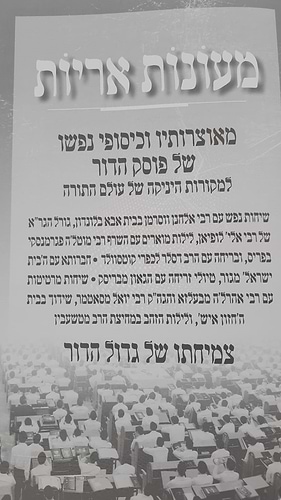 מעונות אריות - מאוצרותיו של פוסק הדור מרן הגאון רבי משה שטרנבוך