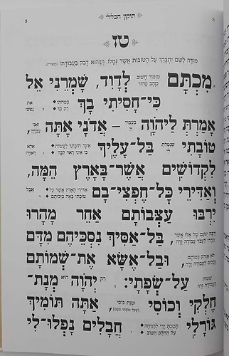 תיקון הכללי - עם פירוש כוונת הלב / פורמט גדול