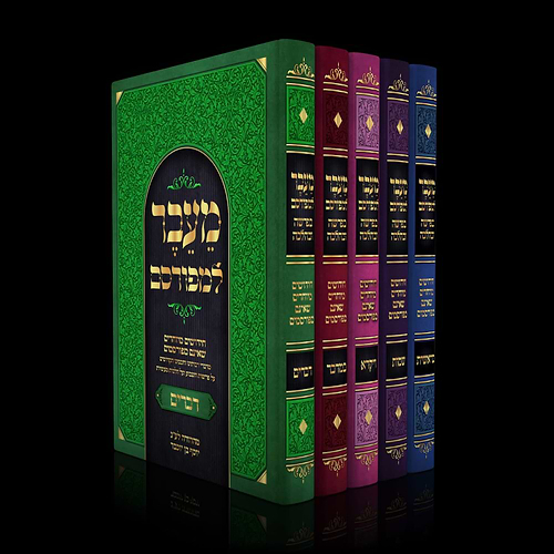 מעבר למפורסם סט ה' כרכים על התורה / בפרשה ובהלכה